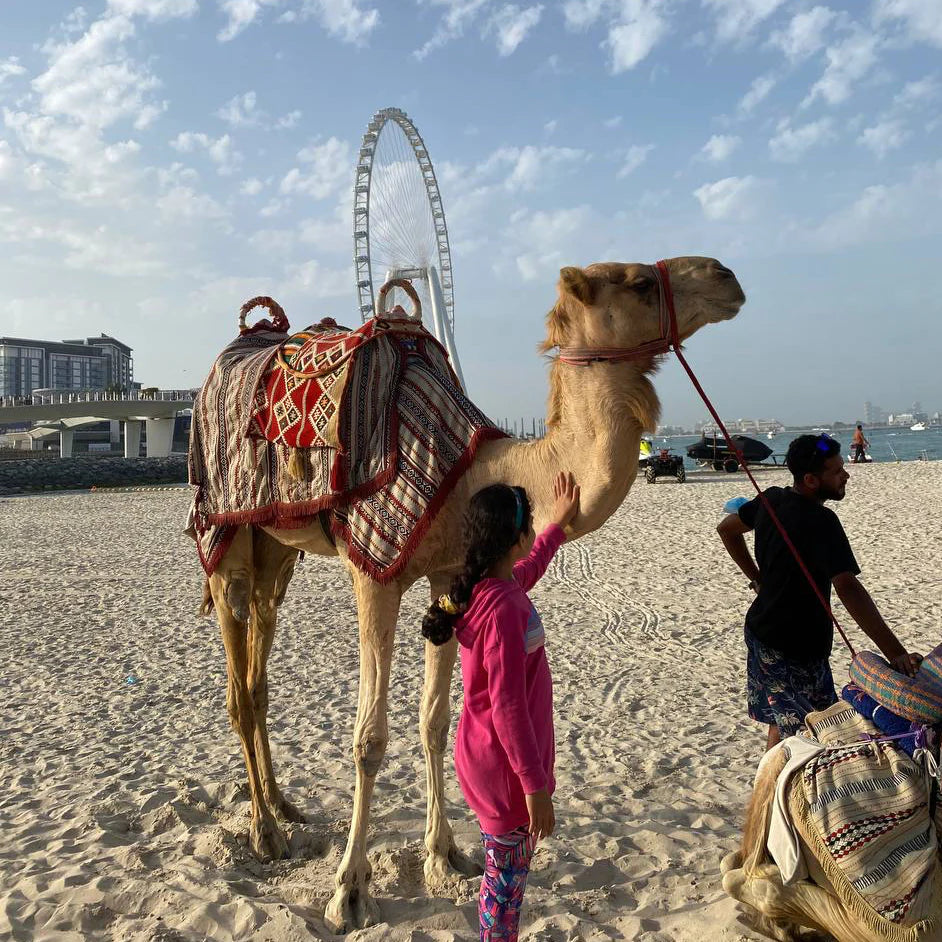 Dubai 28/10 - 4/11