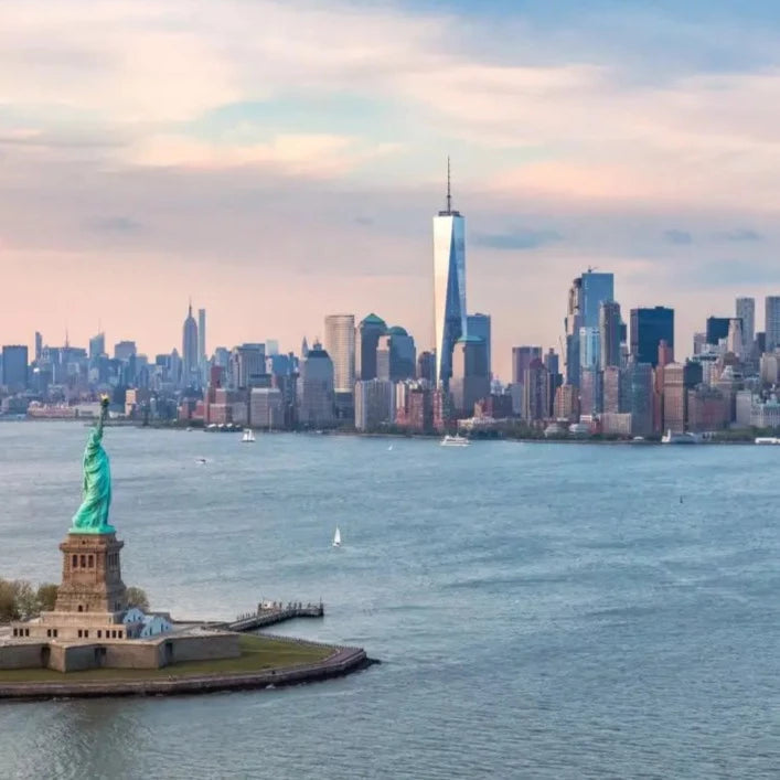 Carica immagine in Galleria Viewer, New York dal 25 Gennaio al 1 Febbraio 2026