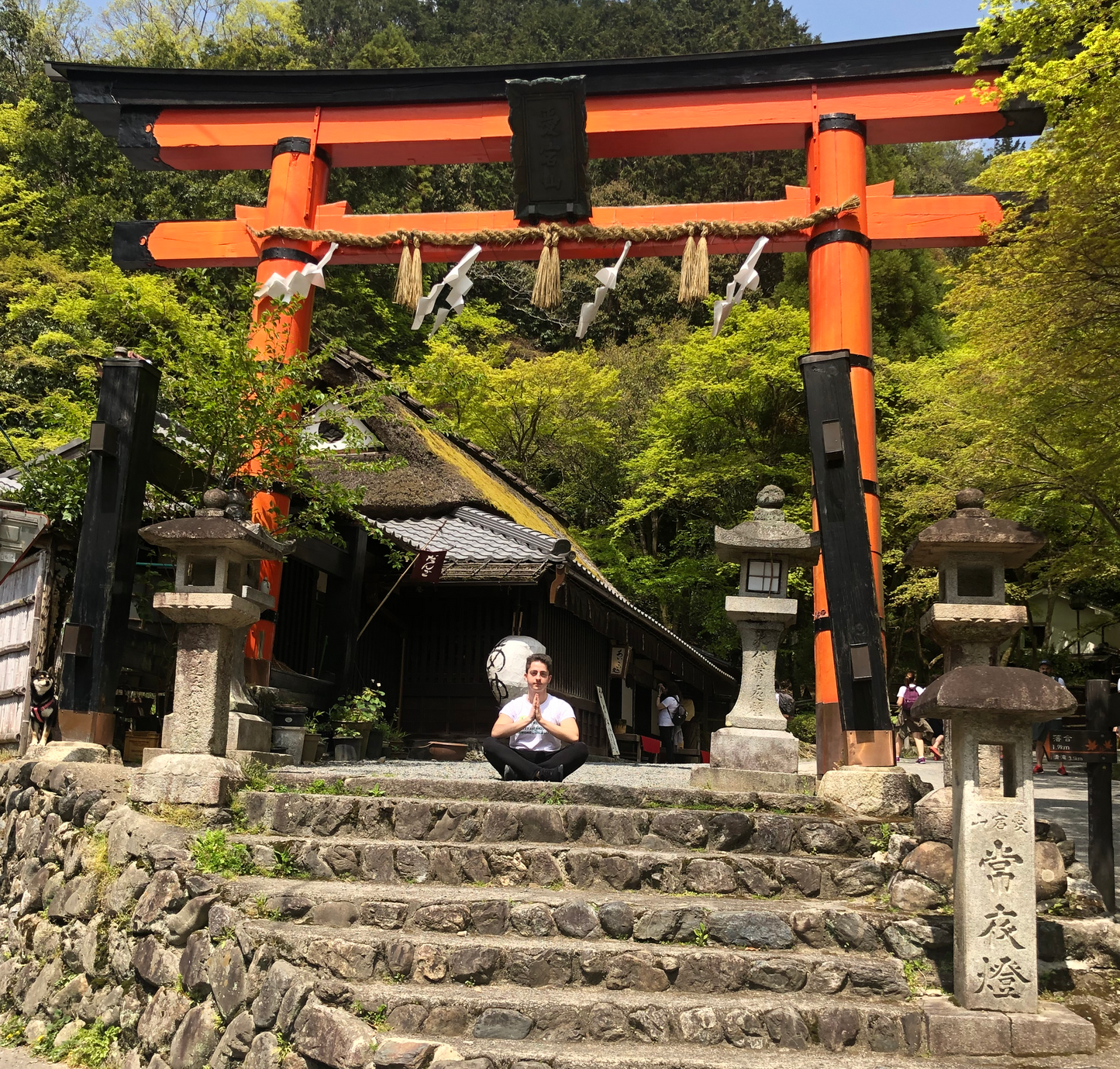 Giappone Hanami Edition 15/03 - 26/03