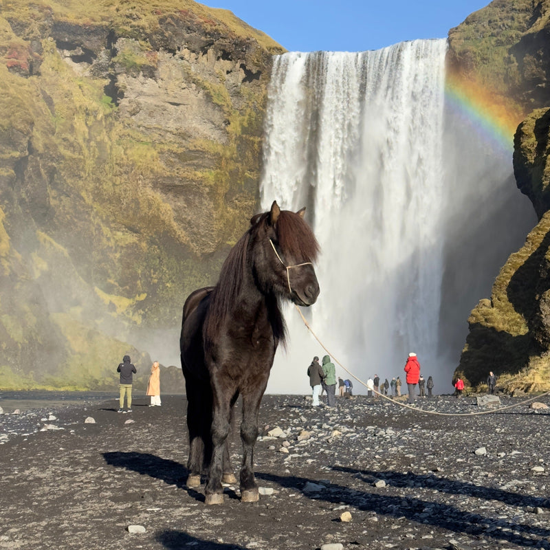 Carica immagine in Galleria Viewer, Islanda Estiva dal 7 al 14 Agosto 2025