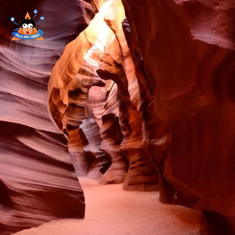 Carica immagine in Galleria Viewer, Stati Uniti on the road dal 2 al 15 Marzo 2026