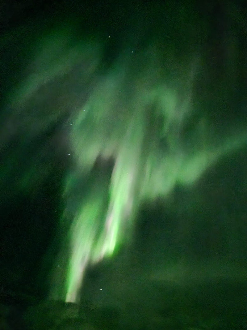 Carica immagine in Galleria Viewer, Lapponia dal 20 al 27 Gennaio 2026