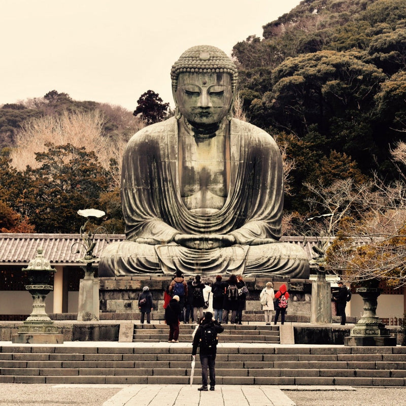 Carica immagine in Galleria Viewer, Giappone Experience dal 19 al 31 Gennaio 2026