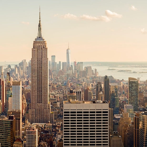 Carica immagine in Galleria Viewer, New York dal 25 Gennaio al 1 Febbraio 2026