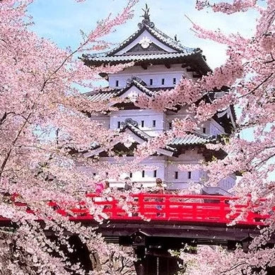 Giappone Hanami Edition 15/03 - 26/03