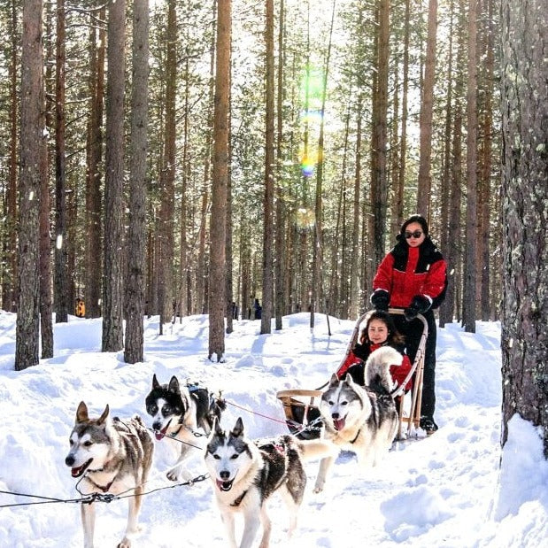 Carica immagine in Galleria Viewer, Lapponia dal 20 al 27 Gennaio 2026