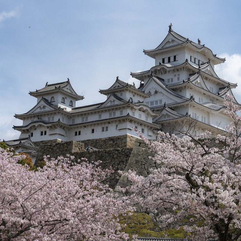 Carica immagine in Galleria Viewer, Giappone Experience dal 19 al 31 Gennaio 2026