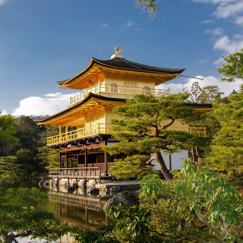 Carica immagine in Galleria Viewer, Giappone Experience dal 19 al 31 Gennaio 2026