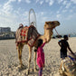 Dubai 28/10 - 4/11