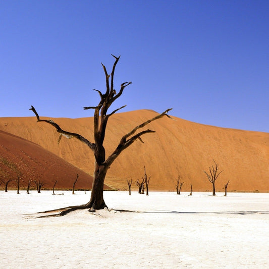 Namibia Expedition 12/09 - 25/09